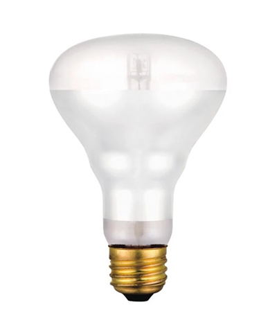 Light Bulbs